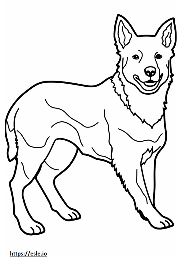Perro de ganado australiano jugando para colorear e imprimir
