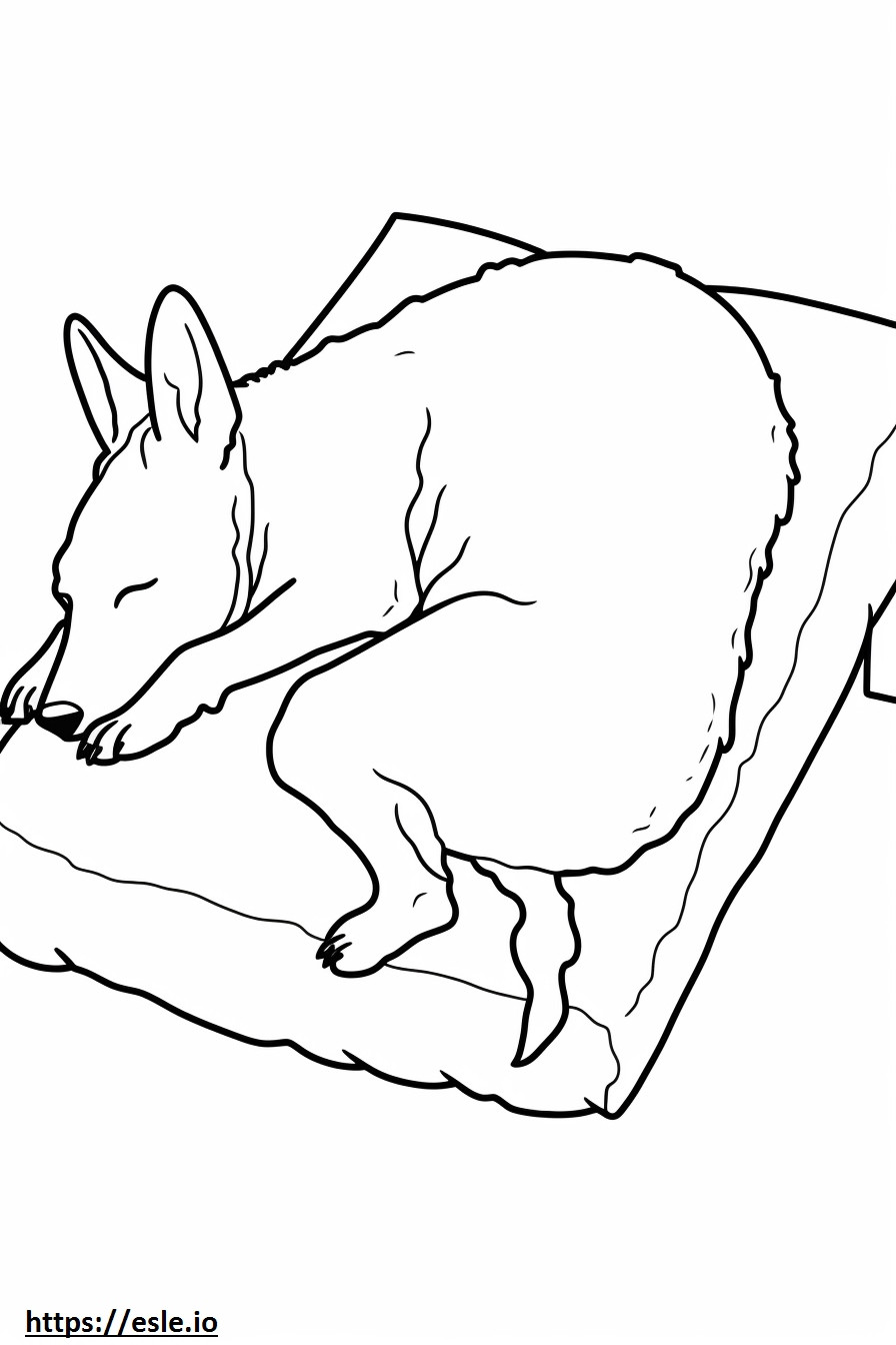 Australischer Rinderhund schläft ausmalbild