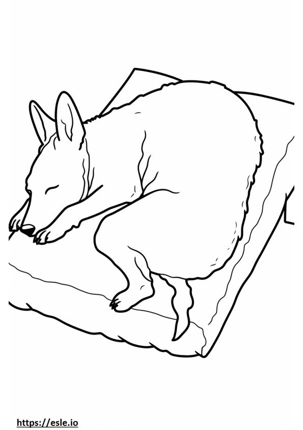 Perro de ganado australiano durmiendo para colorear e imprimir