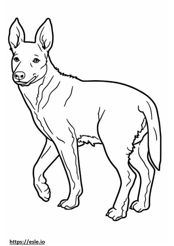 Gioco del cane bovaro australiano da colorare