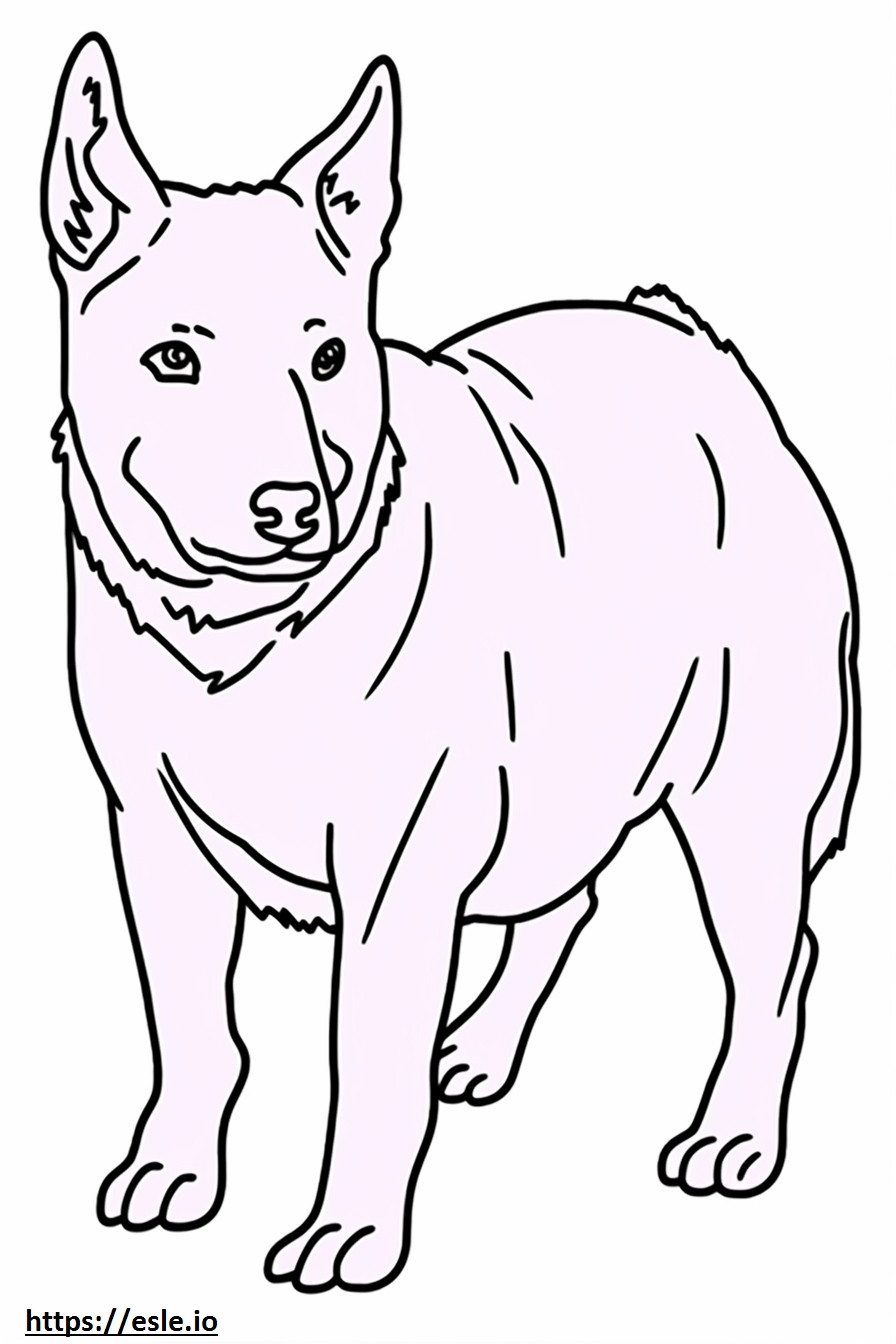 Câine de vite australian care se joacă de colorat