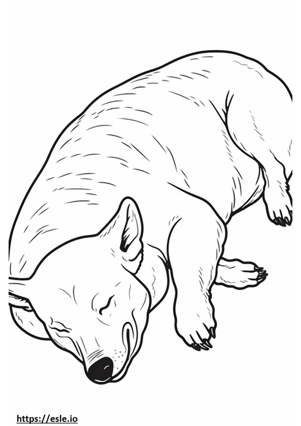Câine australian de vite adormit de colorat