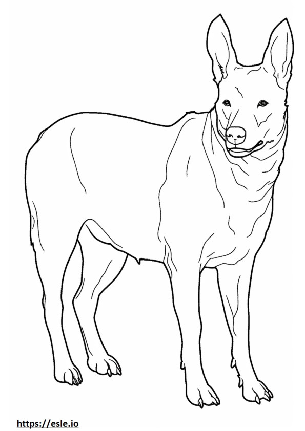 Amigável para cães de gado australiano para colorir