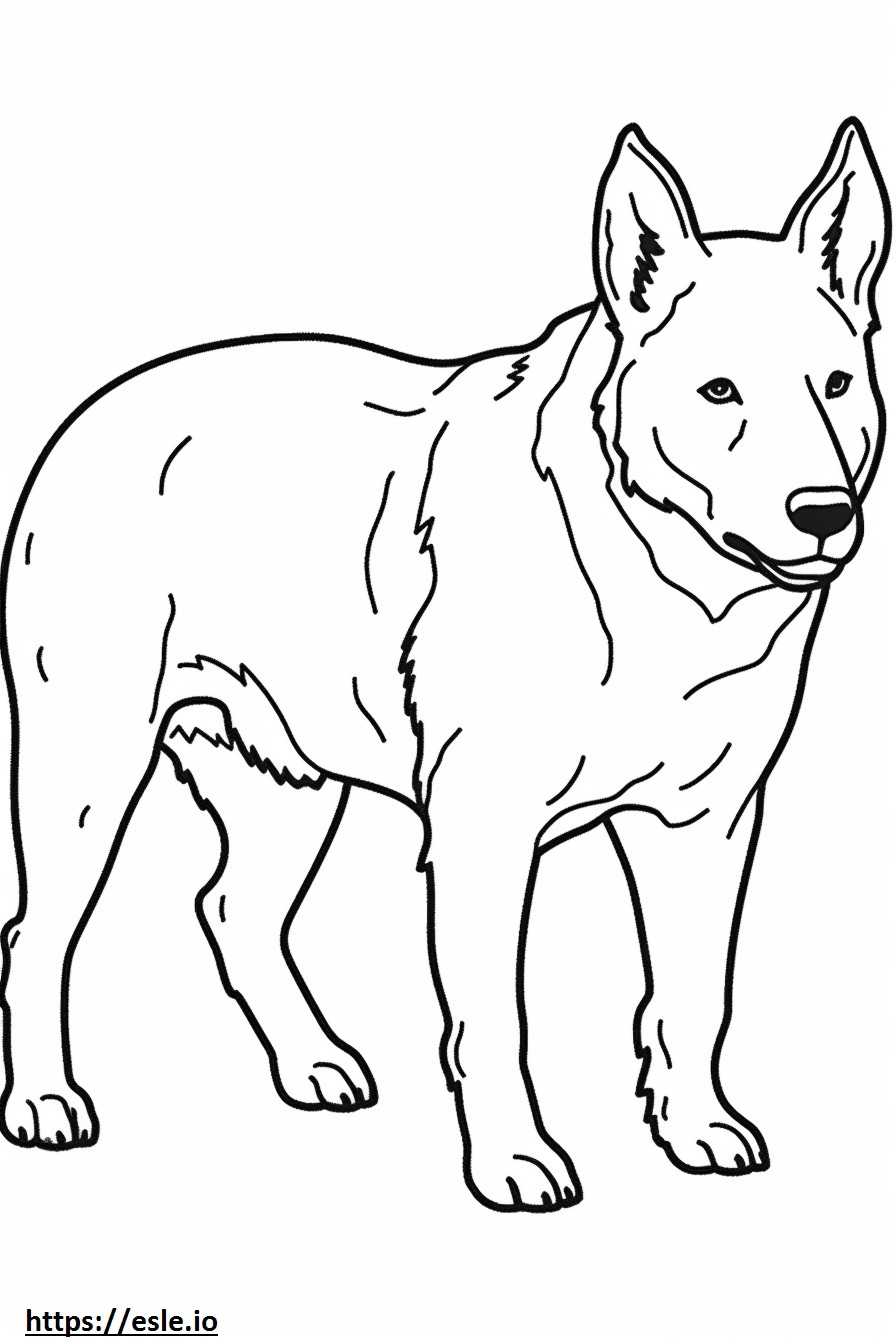 Australian Cattle Dog Friendly coloring page