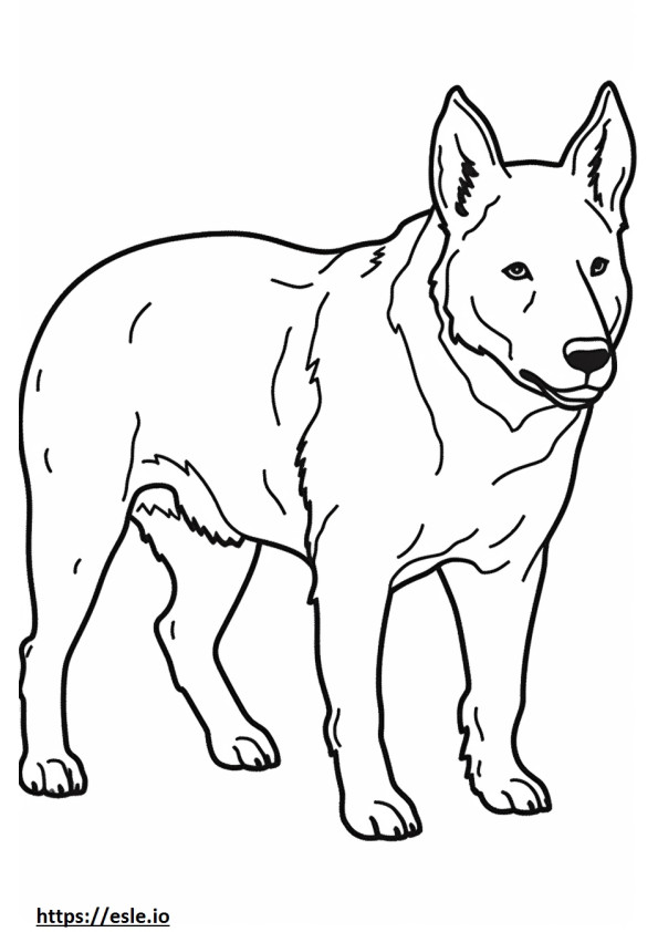 Avustralya Sığır Köpeği Dostu boyama