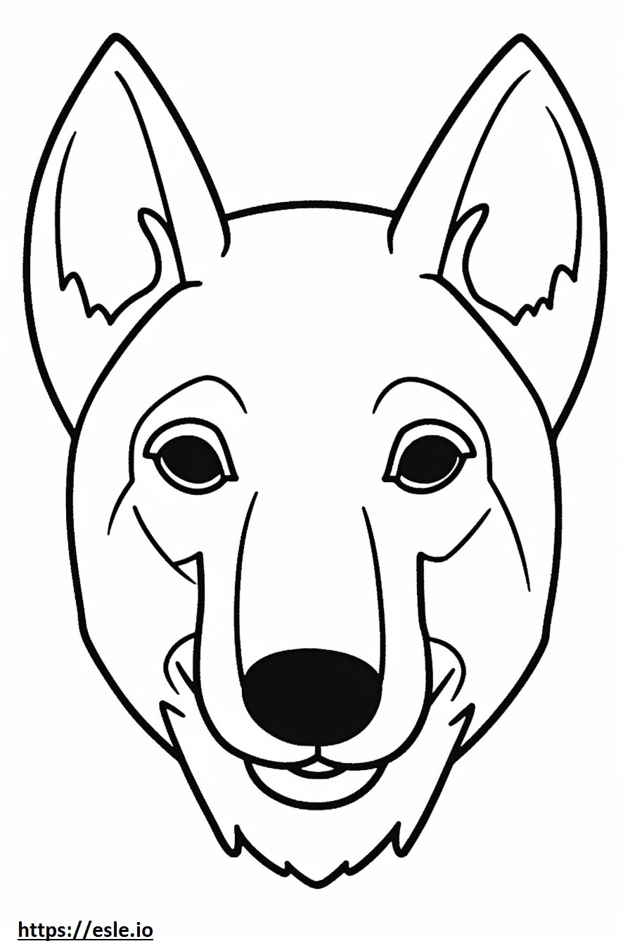 Cara de perro Kelpie australiano para colorear e imprimir