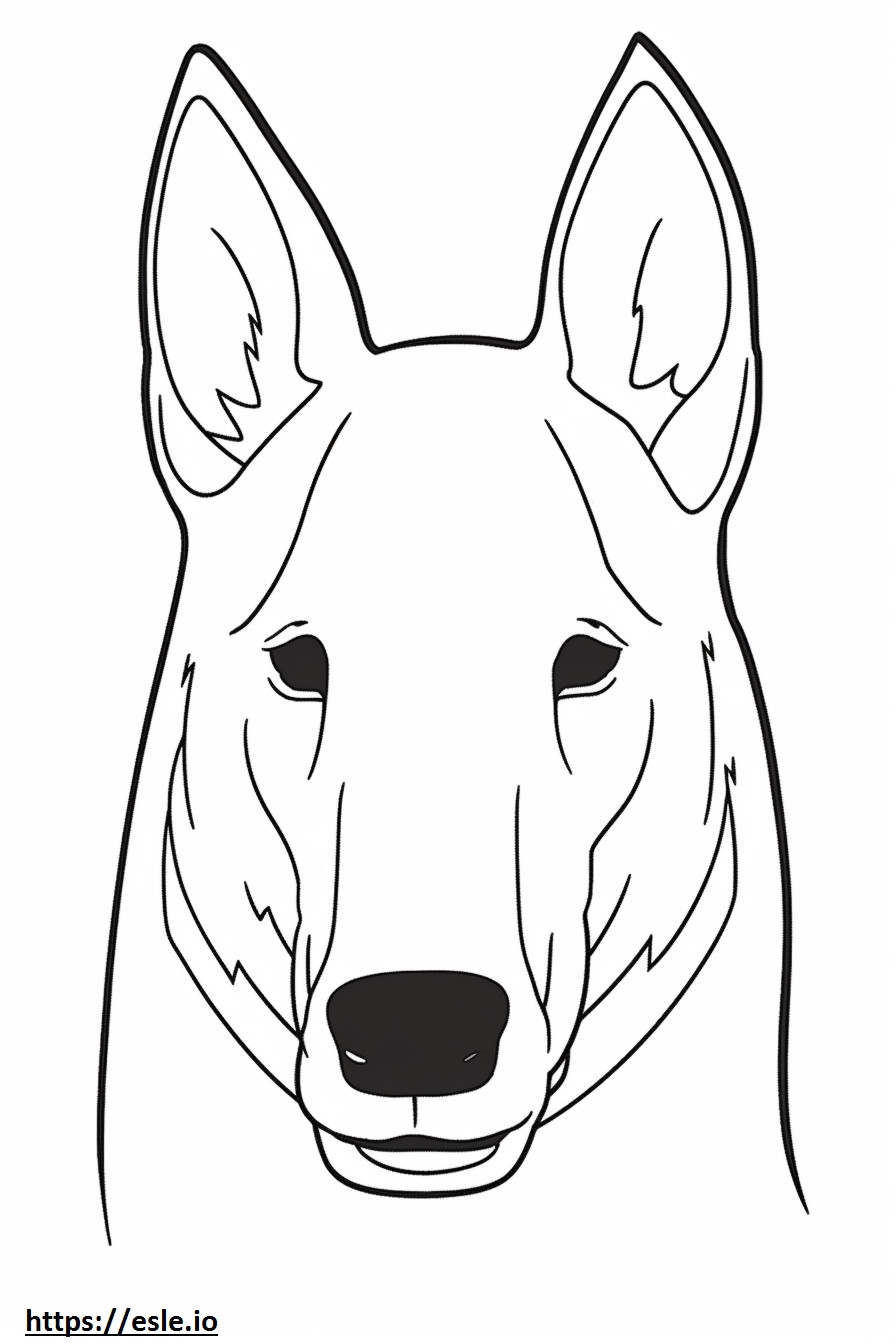 Coloriage Visage de chien Kelpie australien à imprimer