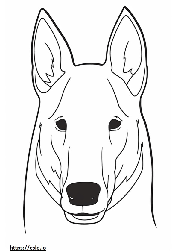 Gesicht des australischen Kelpie-Hundes ausmalbild