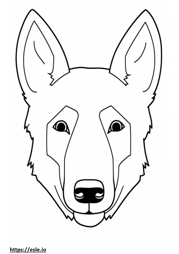 Cara de perro Kelpie australiano para colorear e imprimir