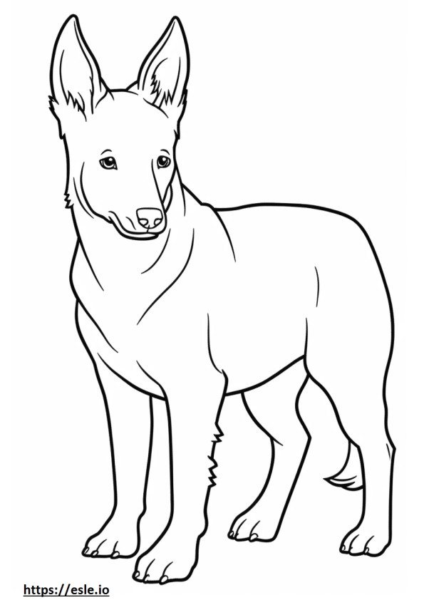 Cucciolo di cane australiano Kelpie da colorare
