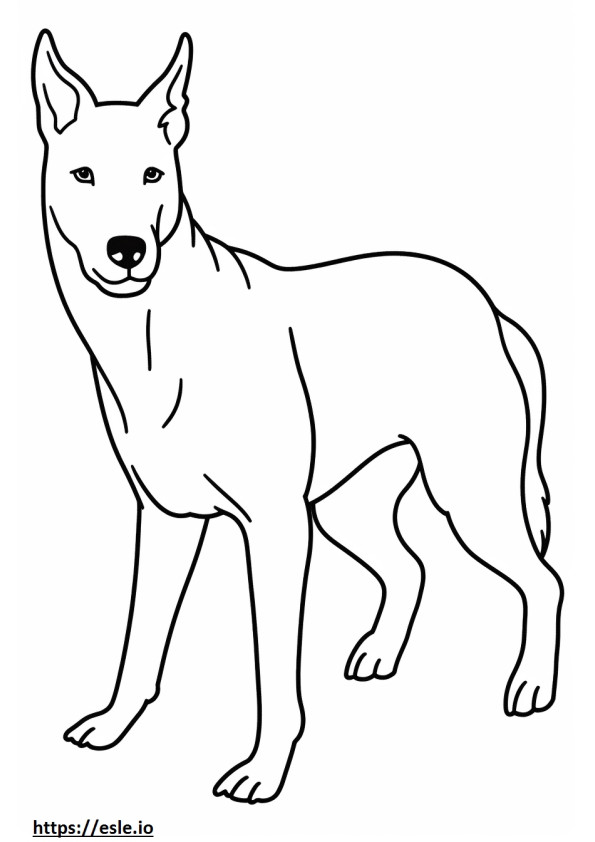 オーストラリアン ケルピー犬の漫画 ぬりえ - 塗り絵