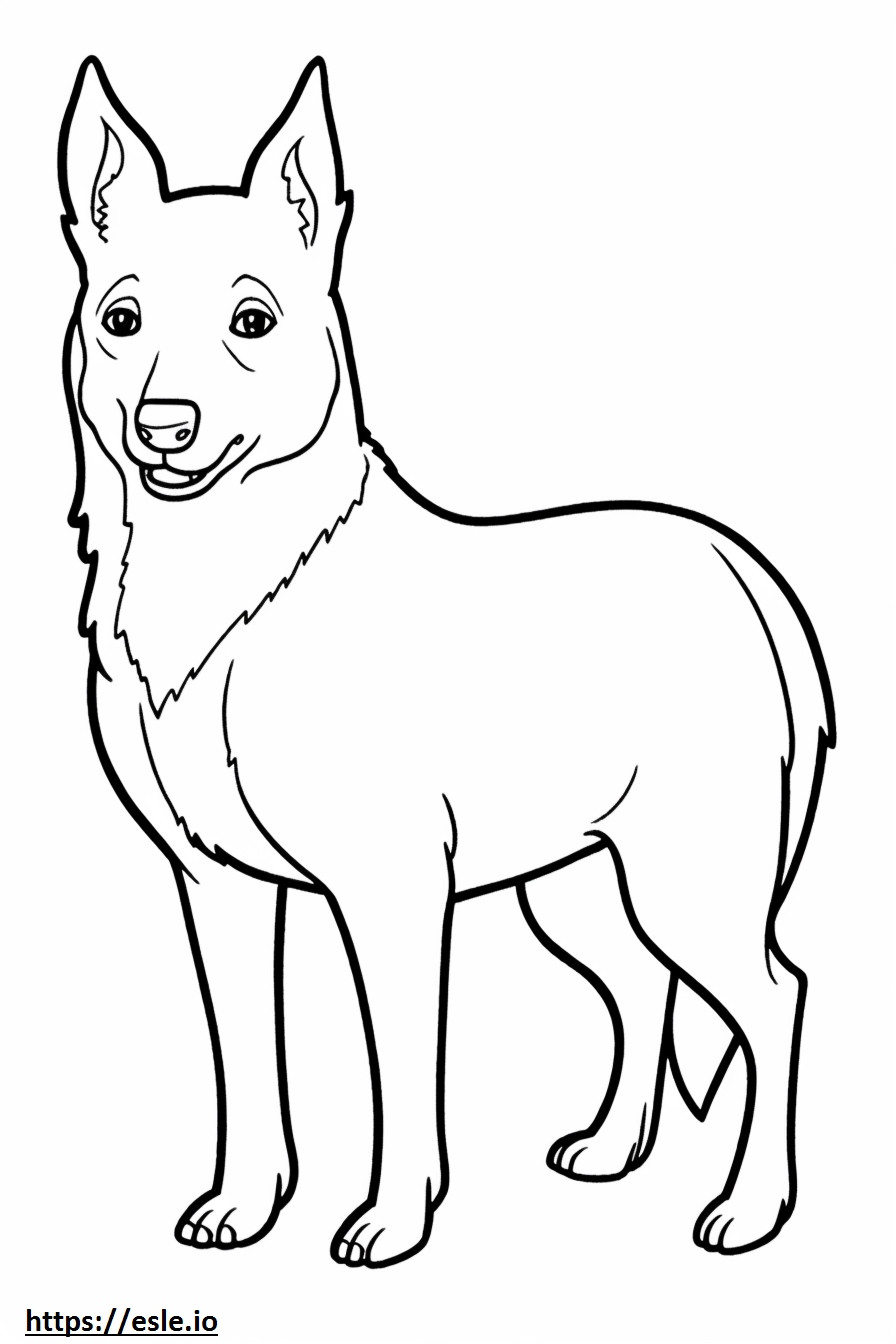 Dibujos animados de perro Kelpie australiano para colorear e imprimir