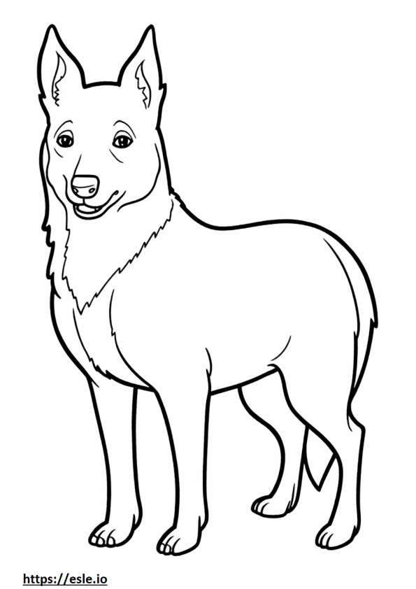 Desen animat câine Kelpie australian de colorat