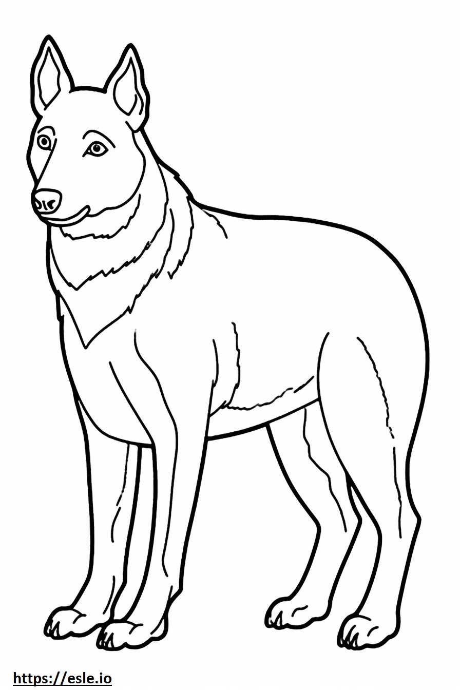 オーストラリアンケルピー犬かわいい ぬりえ - 塗り絵