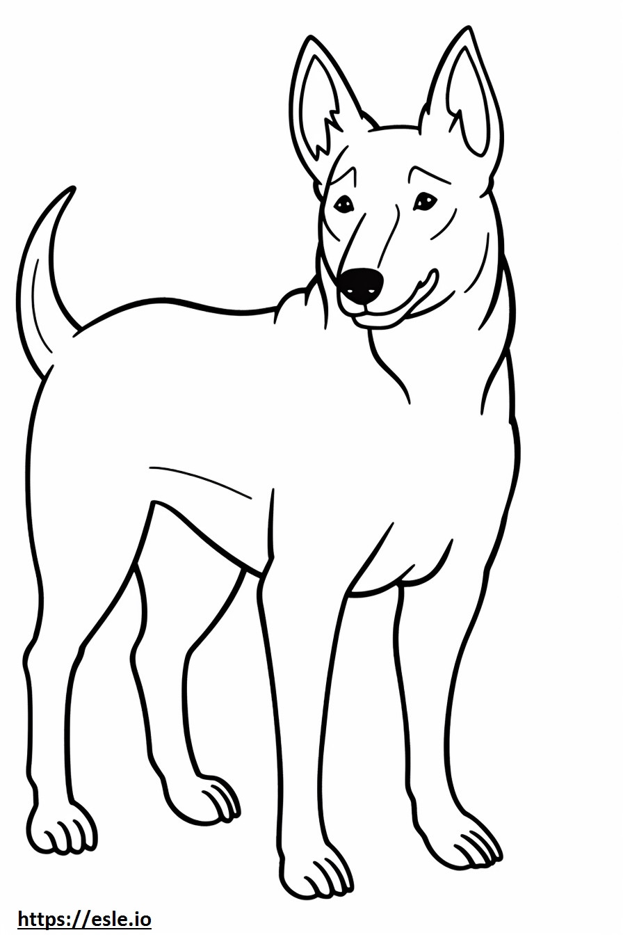 Coloriage Caricature de chien Kelpie australien à imprimer
