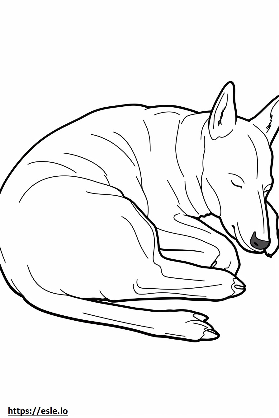眠っているオーストラリアン ケルピー犬 ぬりえ - 塗り絵