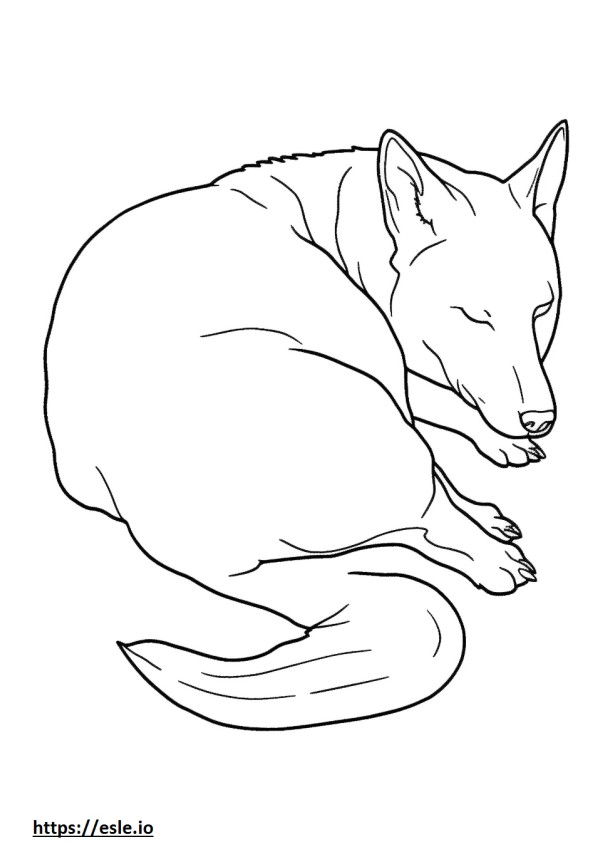 Australian Kelpie Dog Sleeping coloring page