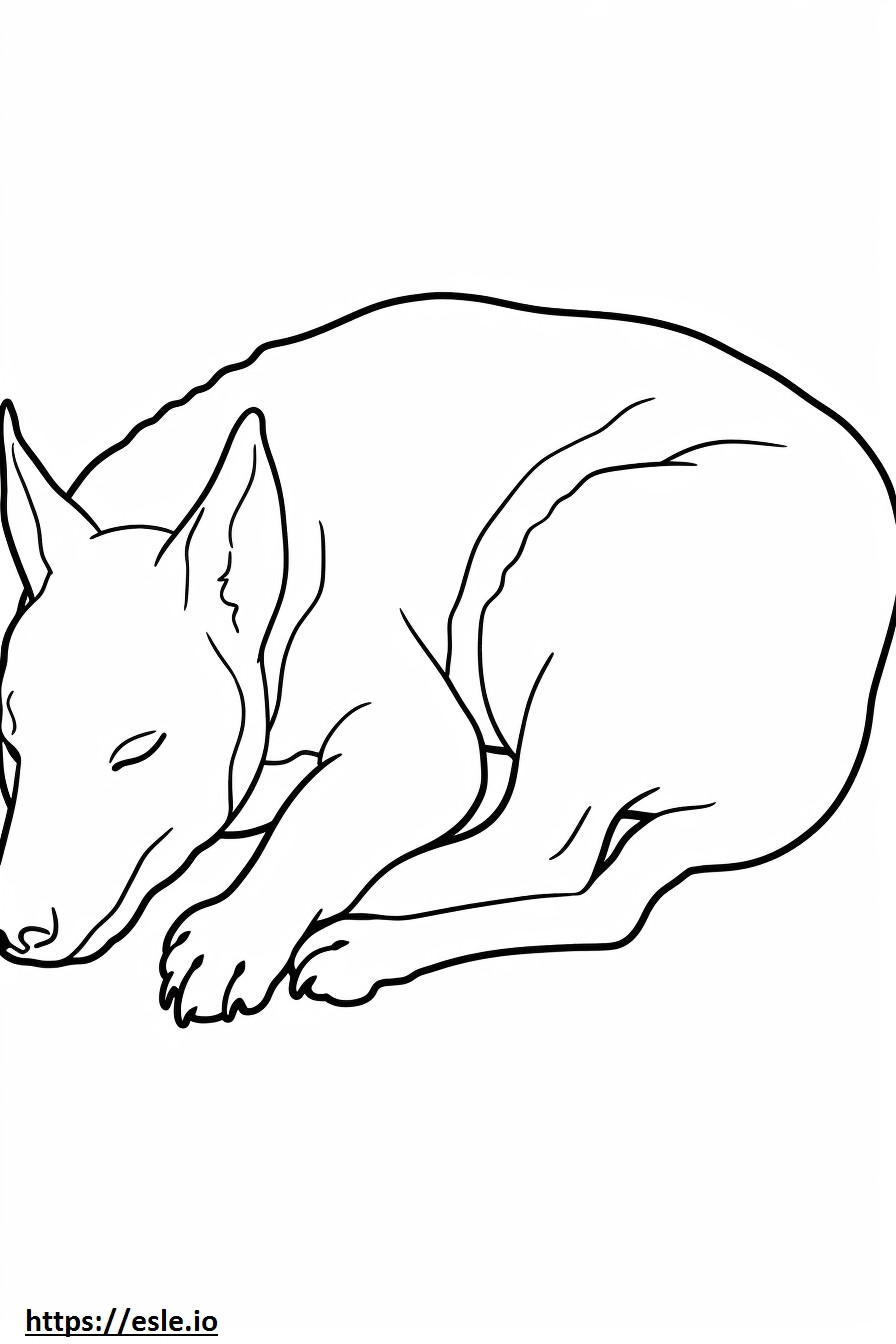 眠っているオーストラリアン ケルピー犬 ぬりえ - 塗り絵