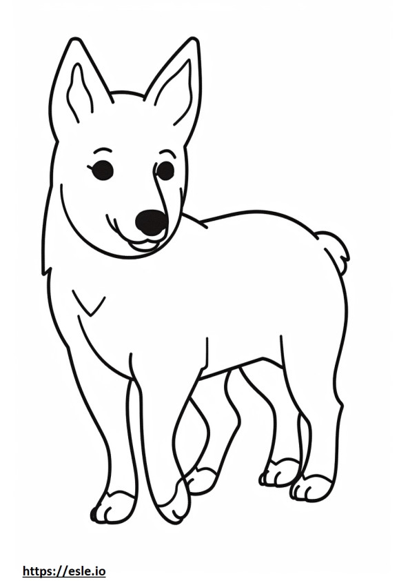 Cachorro Kelpie Australiano Kawaii para colorir
