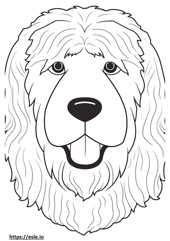 Australian Labradoodle face coloring page