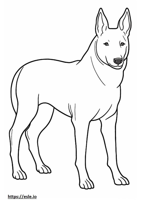 Kelpie australiano adequado para cães para colorir