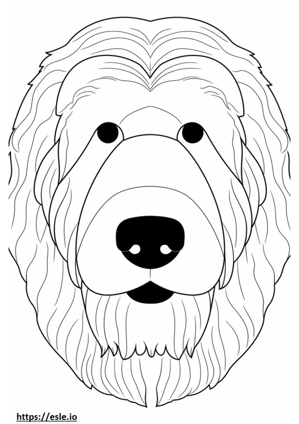 Australian Labradoodle face coloring page