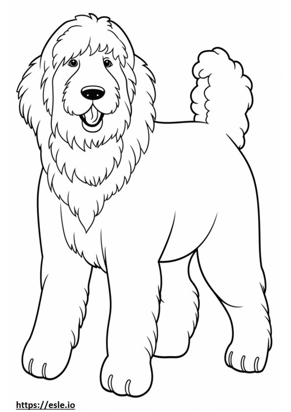 Australian Labradoodle baby coloring page