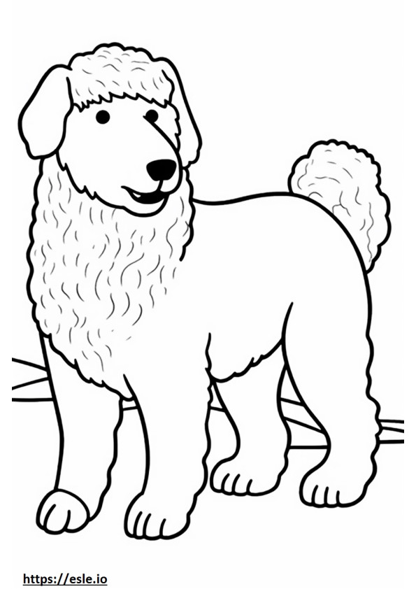 Australian Labradoodle Playing coloring page