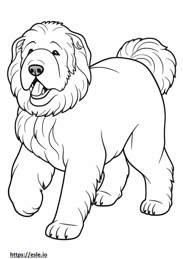 Australian Labradoodle Playing coloring page
