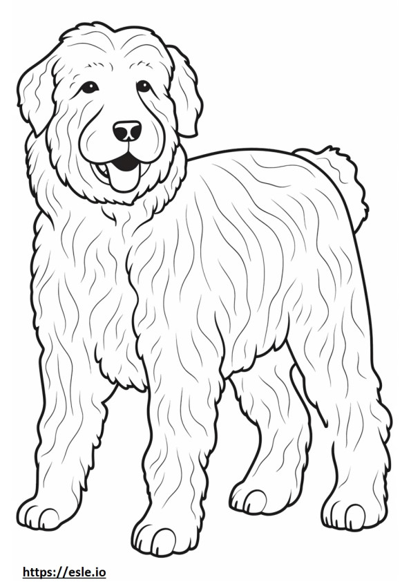 Australian Labradoodle Friendly coloring page