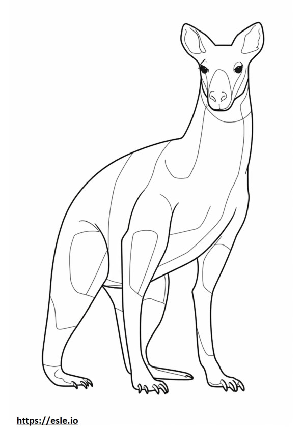 Australian Mist full body coloring page