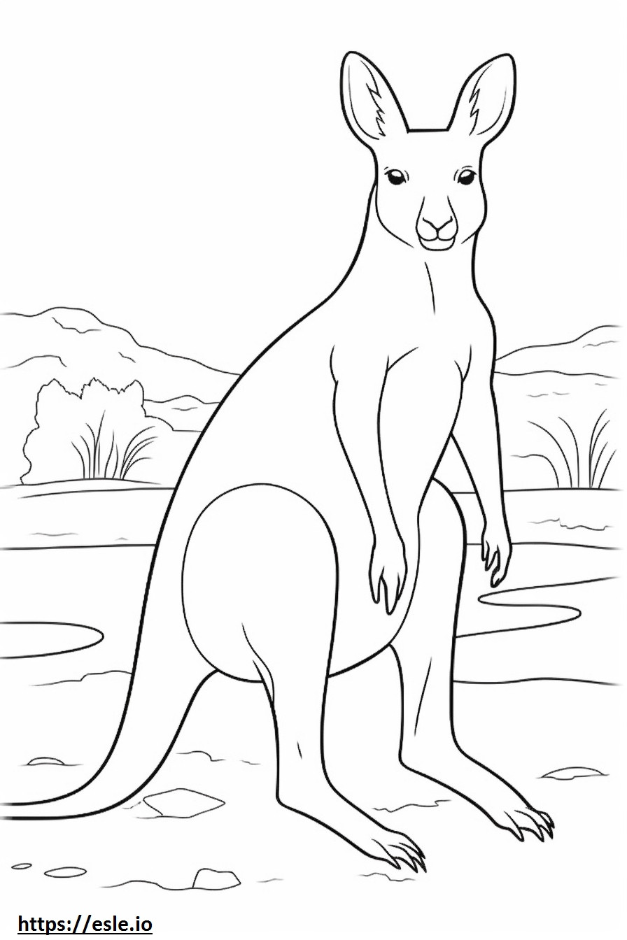 Australian Mist full body coloring page