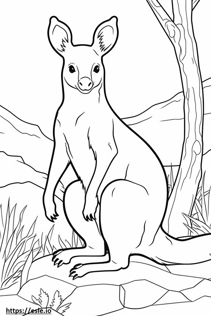 Australian Mist baby coloring page