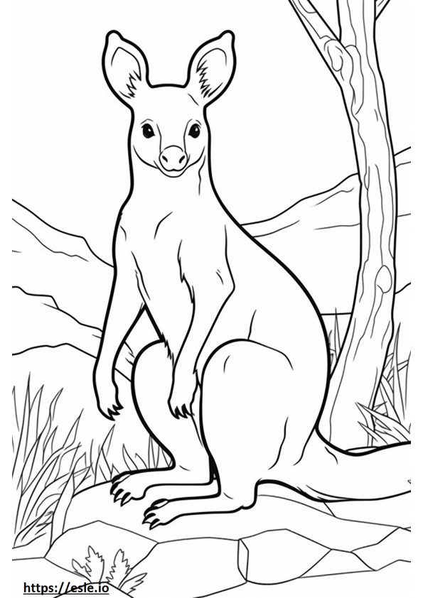 Australian Mist baby coloring page
