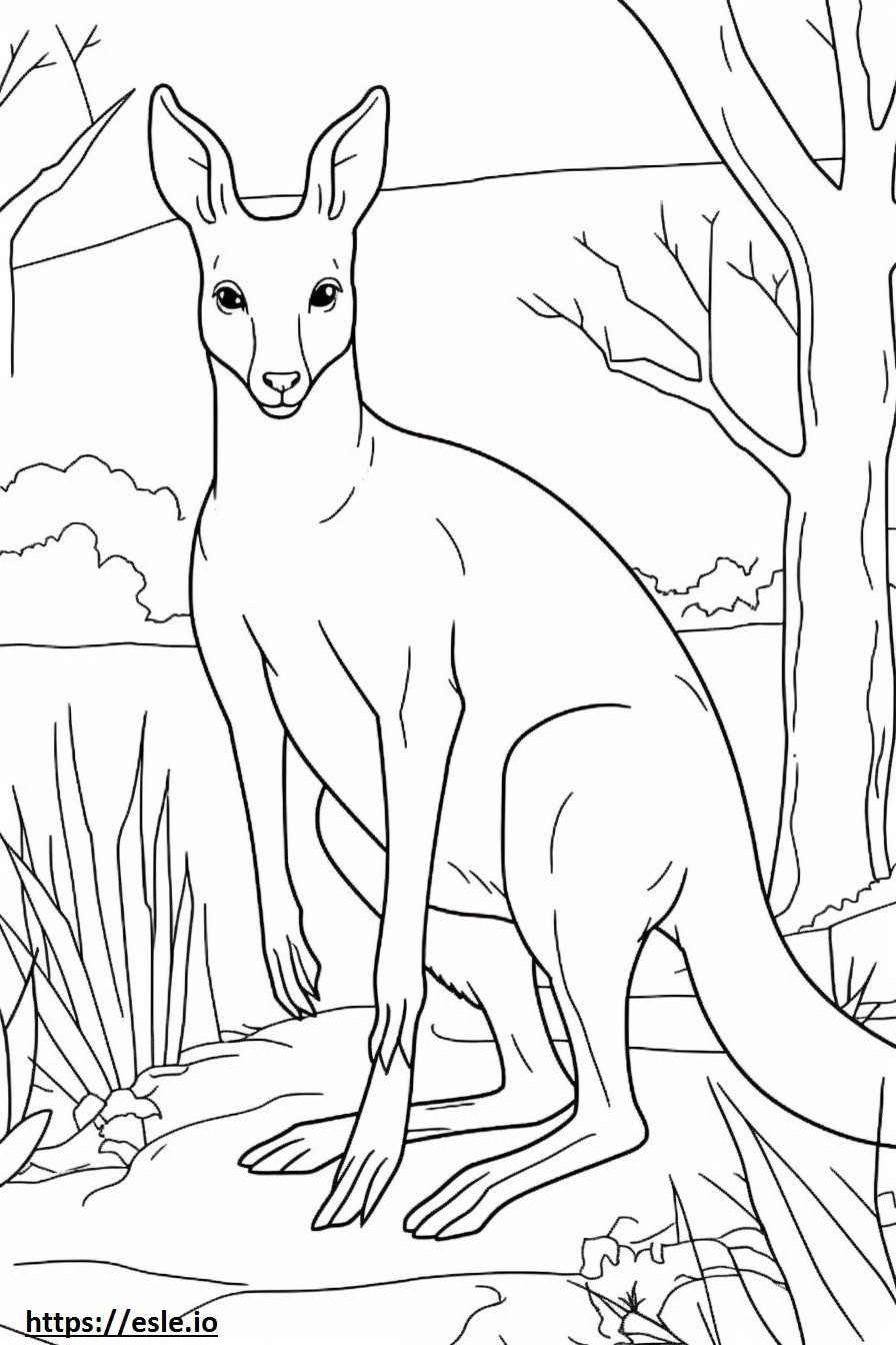 Australian Mist Playing coloring page