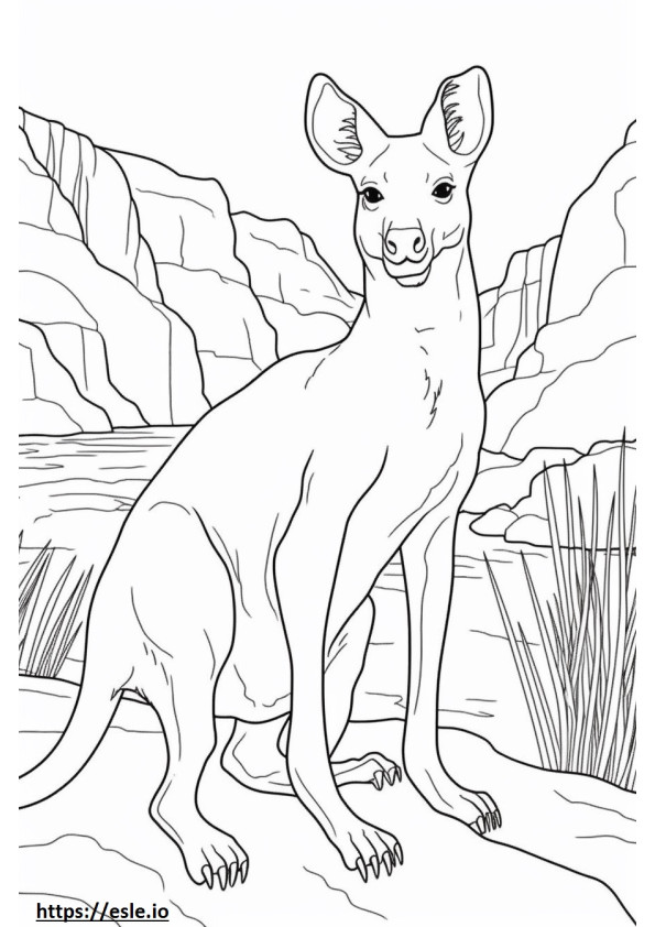 Australian Mist Playing coloring page