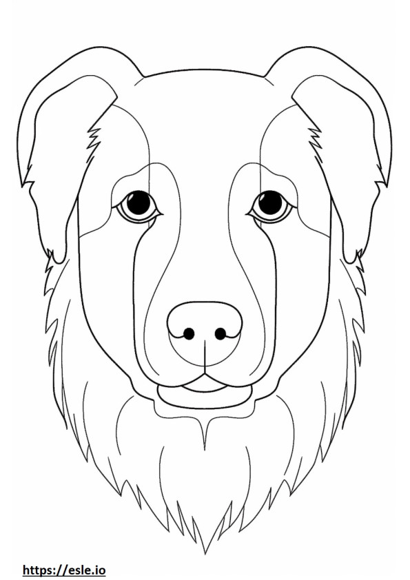 Cara de perro perdiguero australiano para colorear e imprimir