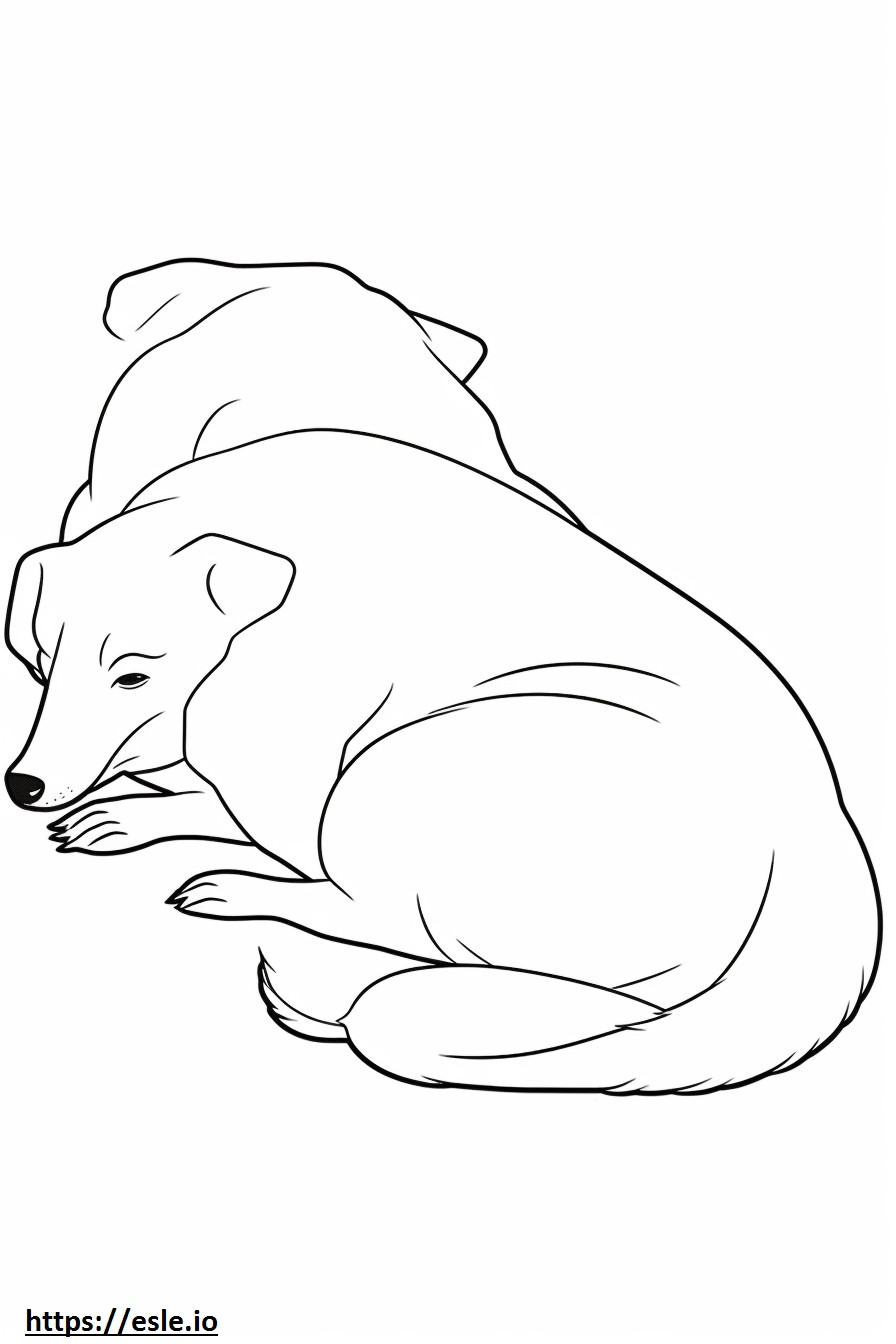 Perro perdiguero australiano durmiendo para colorear e imprimir