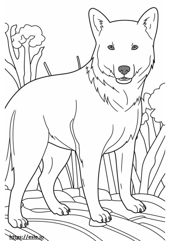 Australian Retriever Playing coloring page