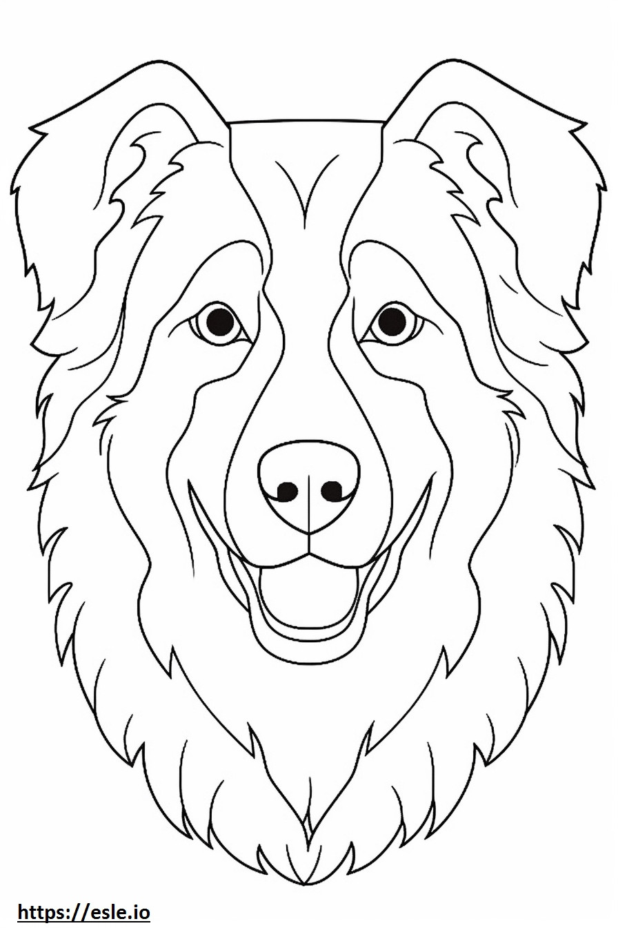 Australian Shepherd face coloring page