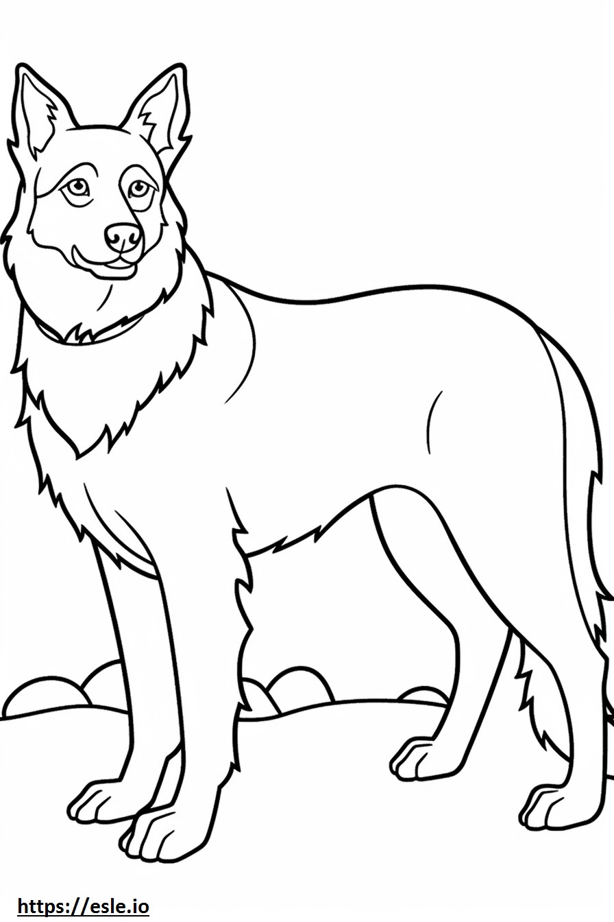 Australischer Schäferhund-Cartoon ausmalbild