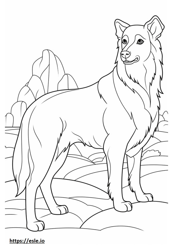 Avustralya Çoban köpeği sevimli boyama