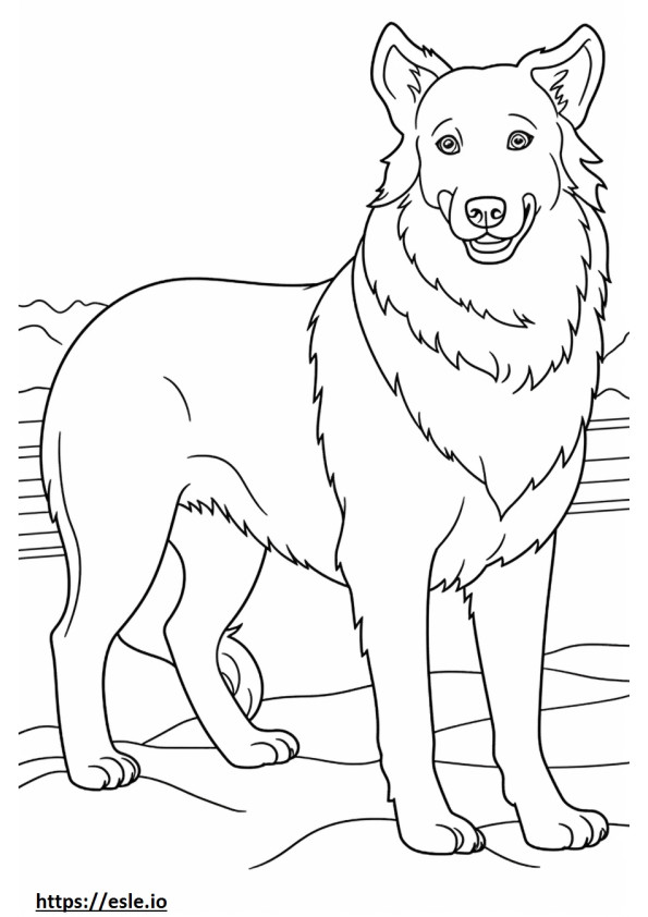 Australian Shepherd Friendly coloring page