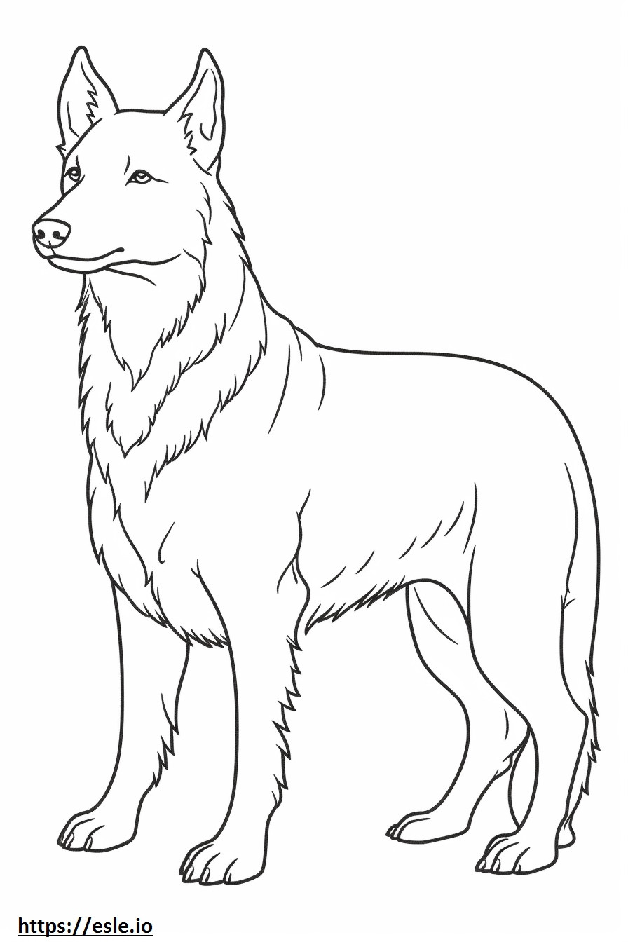 Australian Terrier full body coloring page