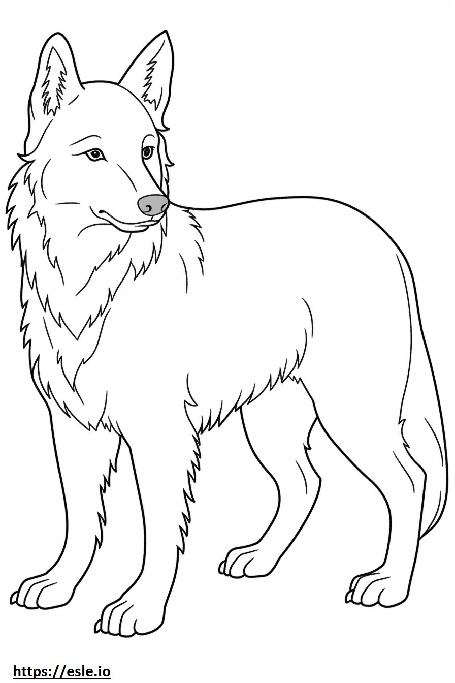 Desenho de Terrier Australiano para colorir