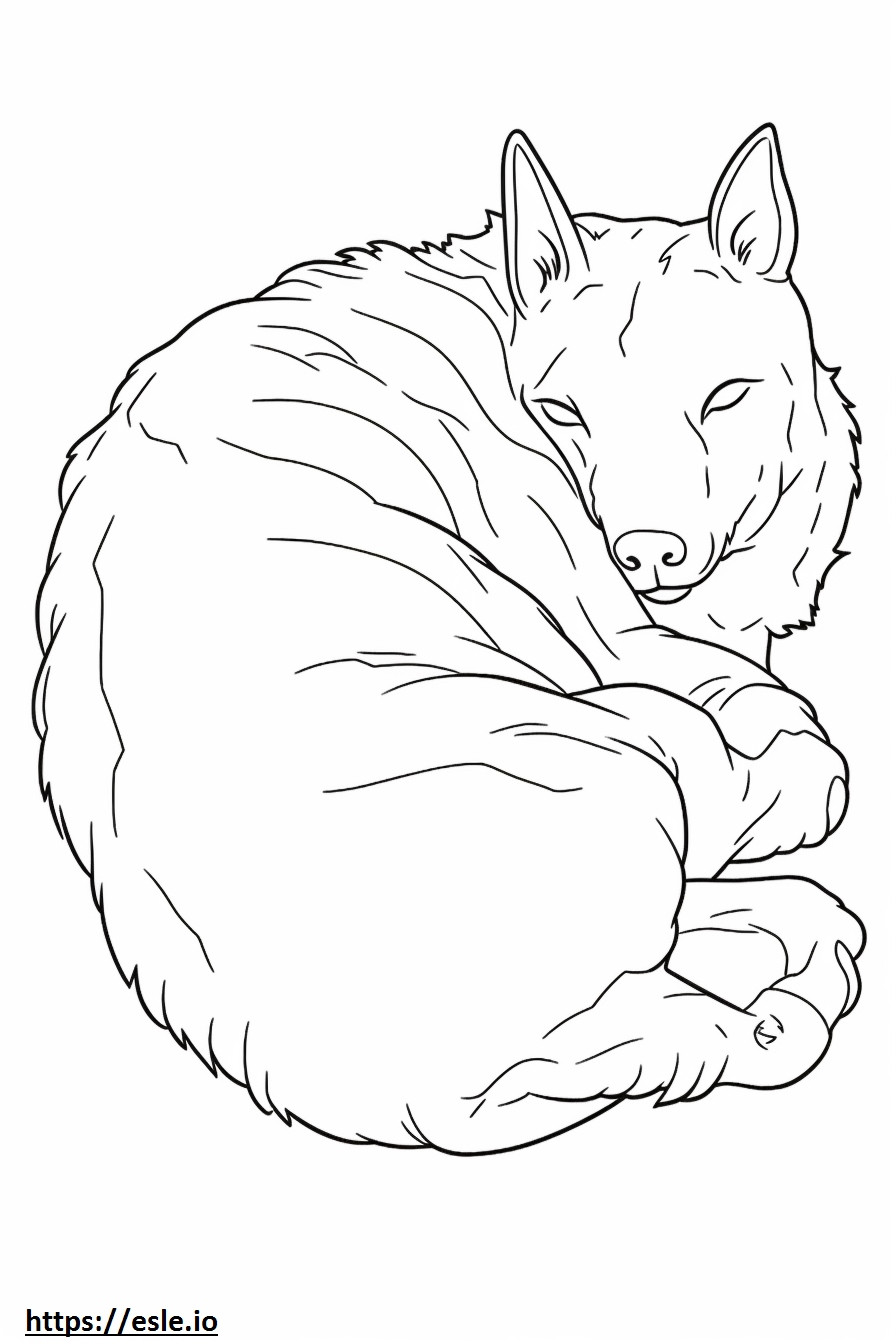 Coloriage Terrier australien dormant à imprimer