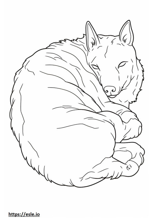 Coloriage Terrier australien dormant à imprimer