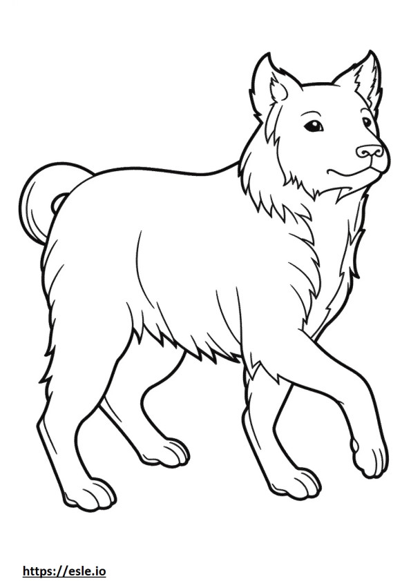 Australian Terrier Playing coloring page