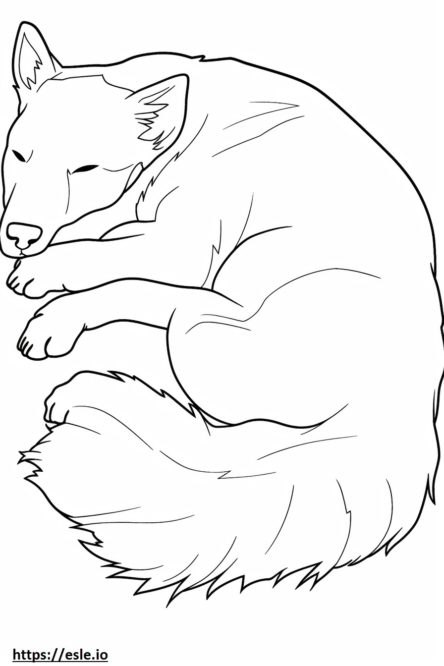 Terrier Australiano dormindo para colorir
