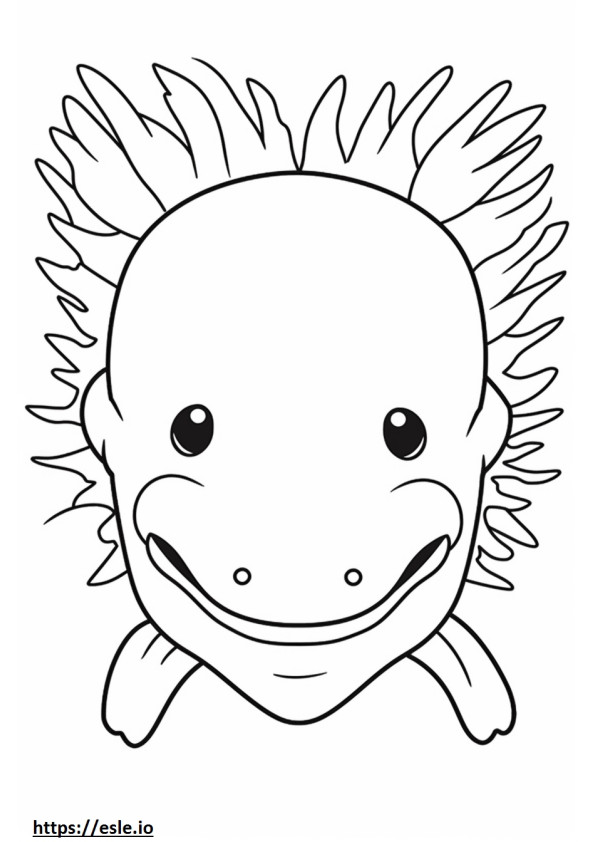 Faccia di Axolotl da colorare